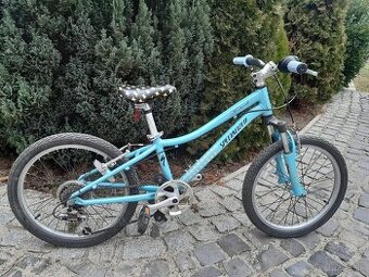 Specialized Hotrock 20"