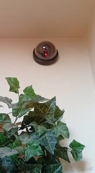 STOP ZLODEJOM - MAKETA KAMERY