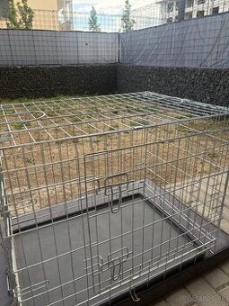 Klientka pre psa
