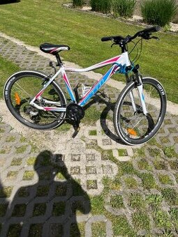 Bicykel CTM Charisma 1.0 26"
