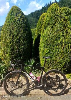 Giant TCR karbón