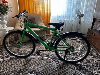 Pánsky horský bicykel Alpina – Shimano SIS – 26