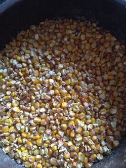 Predám  domácu kukuricu BIO