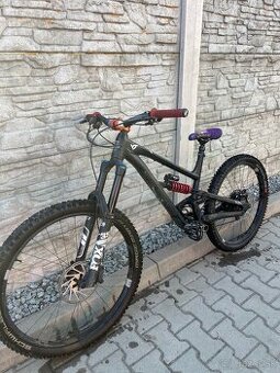 Predam YT capra 2023