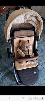 Sportovy kociar Petit&Mars Royal Heritage
