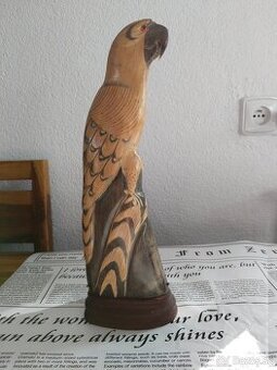 Papoušek z volského rohu