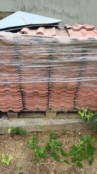 Predam betovu skridlu