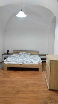 2-izbový byt, Centrum, aj domáce zviera
