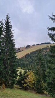 STAVEBNÝ POZEMOK - KÚSOK OD LYŽIARSKEHO STREDISKA