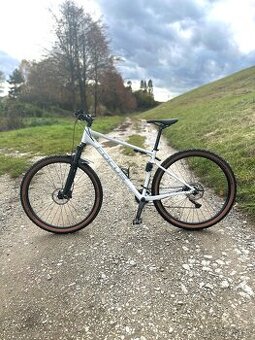 Focus WHISTLER 3.8 light grey 29 XL