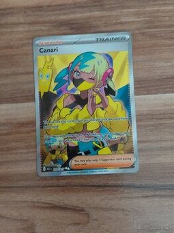 Pokemon karty
