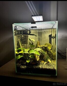 Aquael set 30l