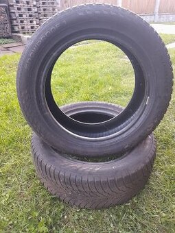 205/55 r16 zimné pneumatiky