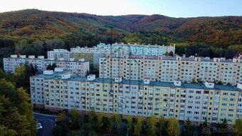 🏡 Na predaj priestranný 1-izbový byt – Kanianka - 1