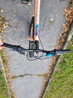 Dámsky bicykel Dema