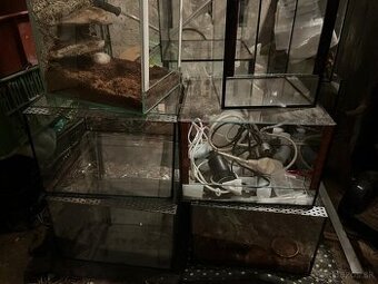 Terarium