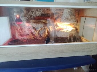 Terrarium+2 Uzovka