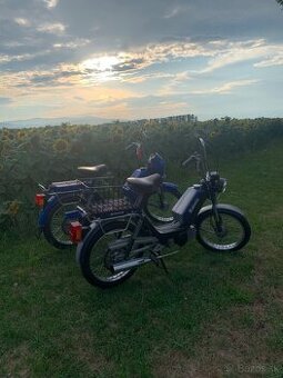 Babetty na predaj🛵