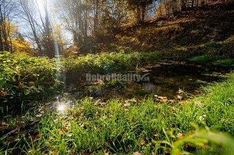 PREDAJ: Tajuplná záhrada s jazierkom a banským potôčikom, 19