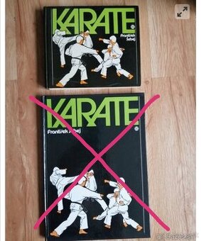 František Šebej - Karate