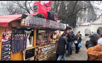 Brigadnik -študent od 15r