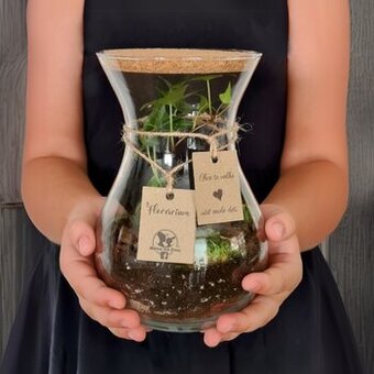 Biosféra, Florárium, rastlinné terarium