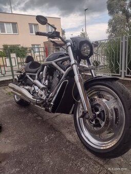 Harley Davidson v rod 1130 wrscaw