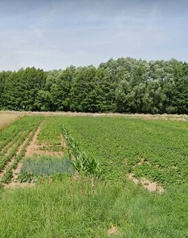 Pozemky v intravilane obce Hrušove