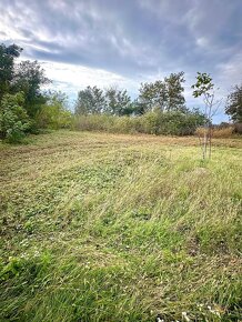 Predaj pozemok Cabaj-Riegler, 10á, šírka 26m