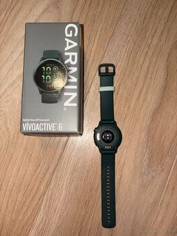 Garmin vivoactive 6