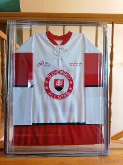 Zápas hviezd ČR a SR extraligy 2006