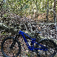 Trek fuel eXE