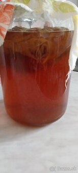 Kombucha
