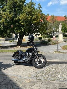2025 Harley Davidson Street Bob