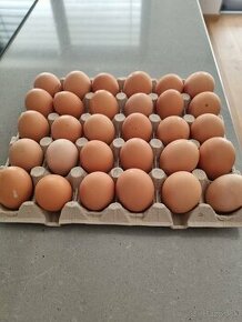 Domáce vajíčka z voľného BIO chovu