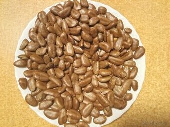 Asimina Triloba