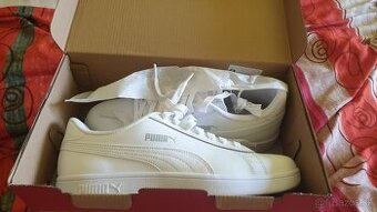 PREDAM NOVE TEMISKY PUMA