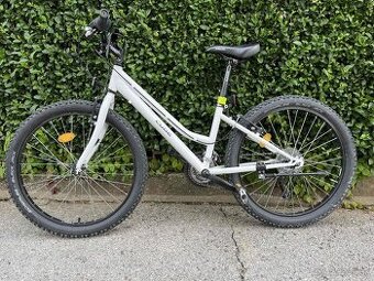 CTM Mony 24"