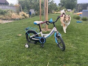 Detský bicykel 14 - 1