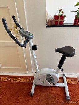 Stacionárny bicykel Healthy Living MAG 154