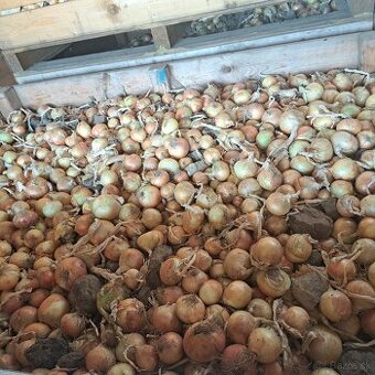 Domáce ZEMIAKY a CIBUĽA aj na zaváranie