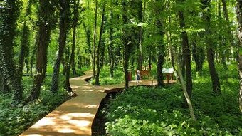 Hľadám pozemok pre vybudovanie denného centra - Prešov