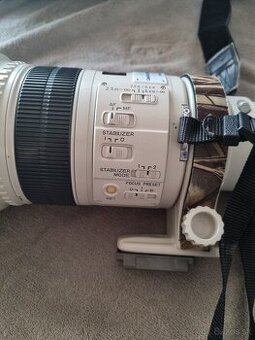 Canon 300mm f  2,8 is+ Canon R7