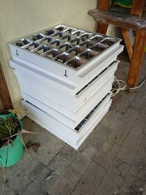Neónové svetlo - 1