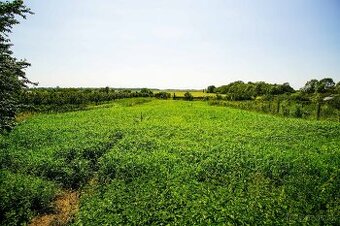 Na predaj pozemok blízko centra s výhľadom na kalváriu - 1
