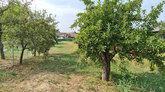 STAVEBNÝ POZEMOK 966 m2 KRAKOVANY PIEŠŤANY + UPI VOĽNÝ