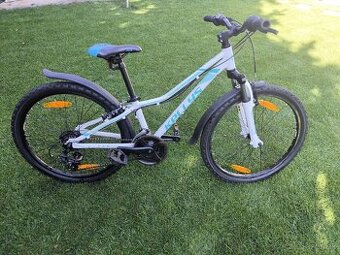 Kellys Kiter 50 24ka