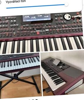 Predam korg pá 1000