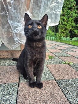 Darujem do interiéru