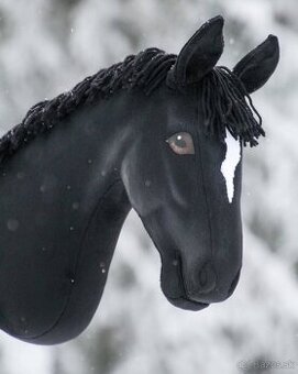 Hobby horse + prekážky - 1